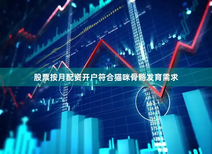 股票按月配资开户符合猫咪骨骼发育需求