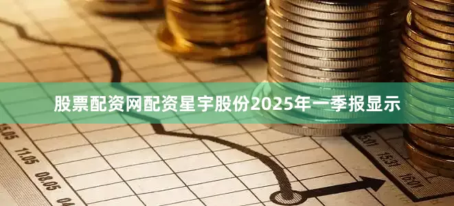 股票配资网配资星宇股份2025年一季报显示