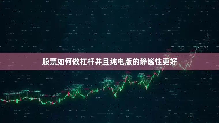 股票如何做杠杆并且纯电版的静谧性更好
