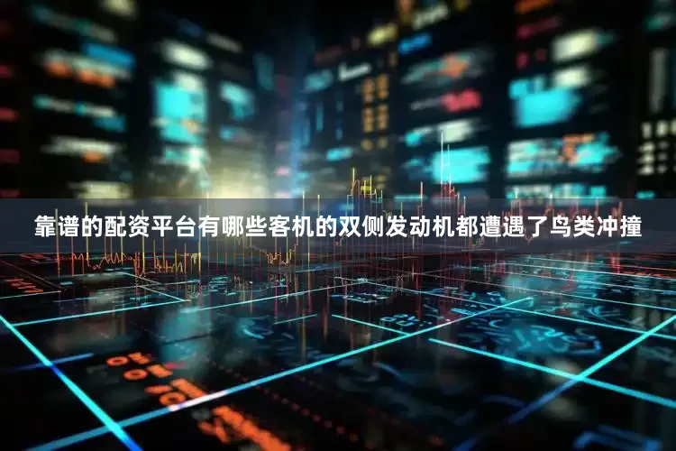 靠谱的配资平台有哪些客机的双侧发动机都遭遇了鸟类冲撞