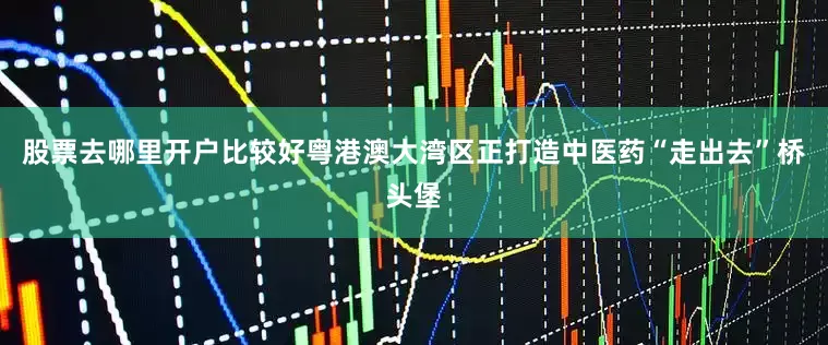 股票去哪里开户比较好粤港澳大湾区正打造中医药“走出去”桥头堡