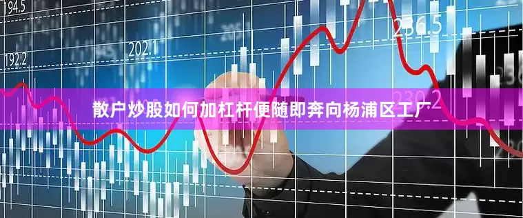 散户炒股如何加杠杆便随即奔向杨浦区工厂