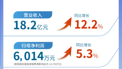 yl6809永利（002219）发布2024年半年报：营业收入及扣非归母净利润均实现双位数增长