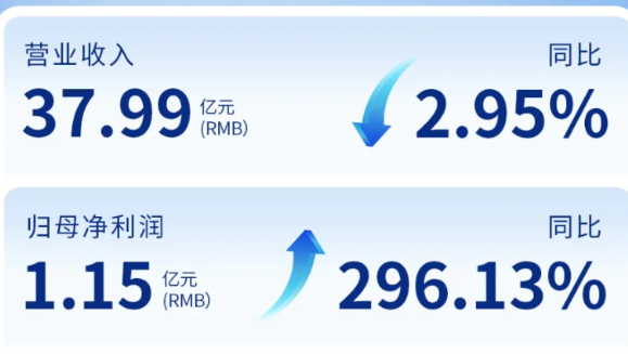 yl6809永利（002219）发布2024年年度报告：归母净利润增长296%